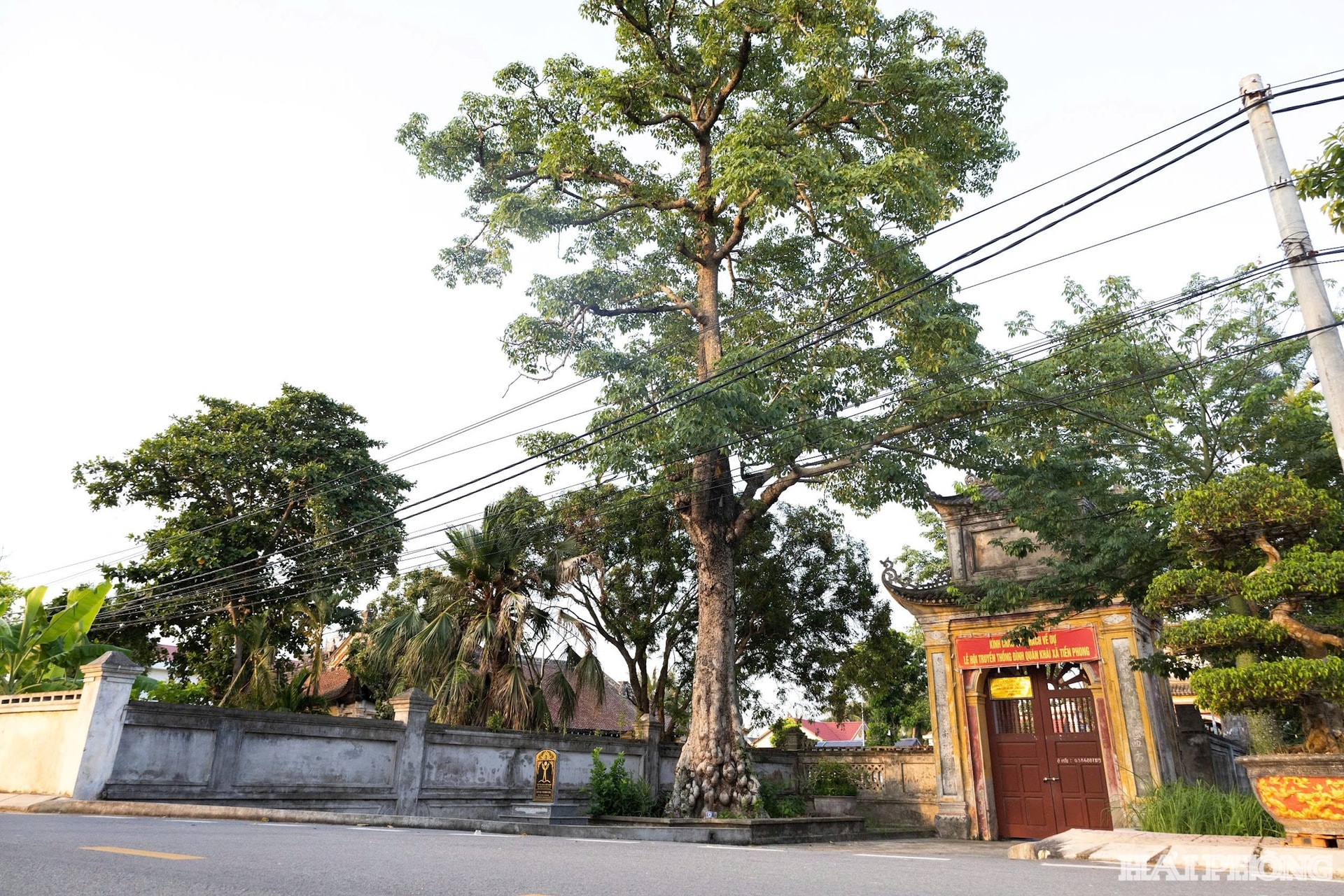 dinh-quan-khai5.jpg