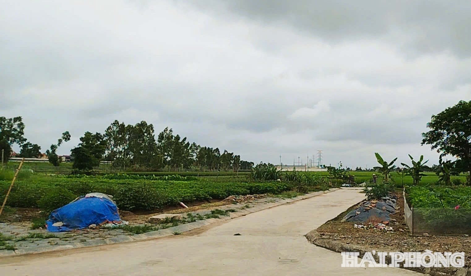tai-dinh-cu-ky-son.jpg