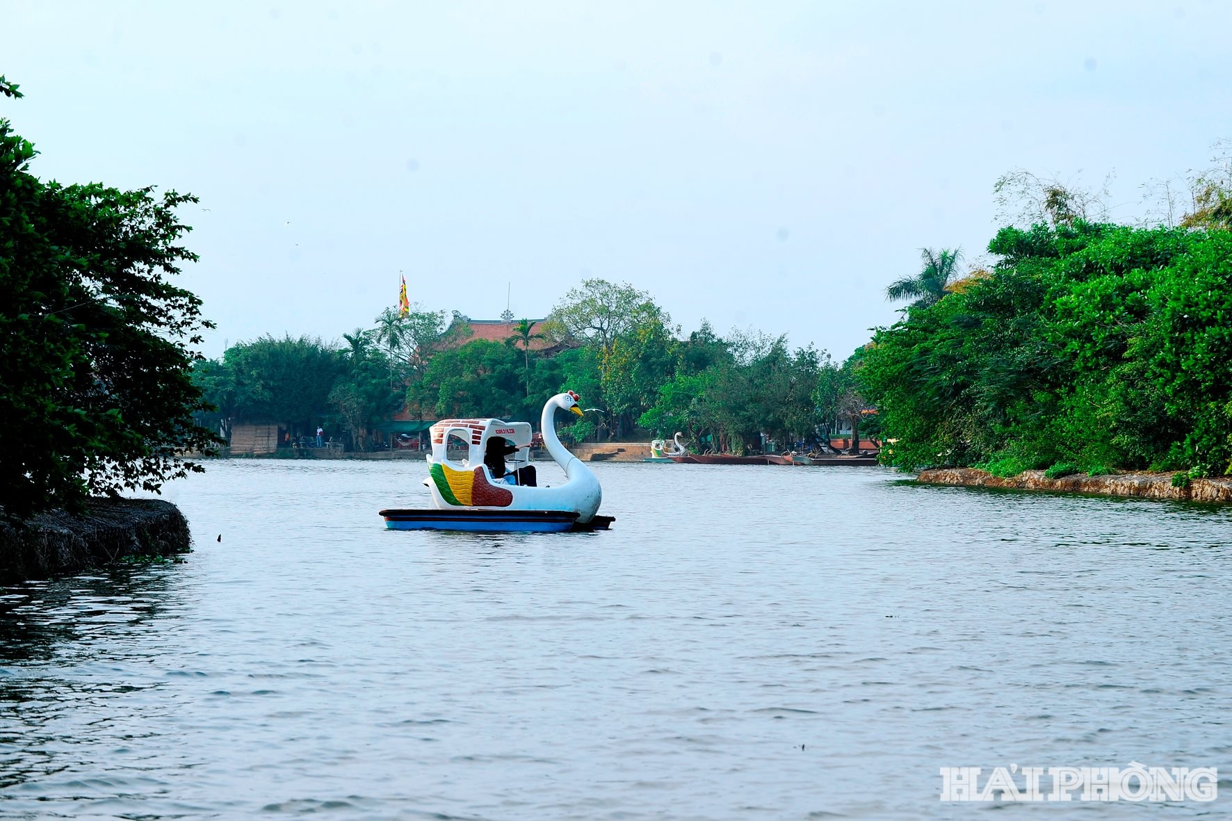 Từ đầu năm đến nay, Đảo Cò thu hút khoảng 40.000 lượt khách du lịch, tăng 5.000 lượt khách so với cùng kỳ năm ngoái