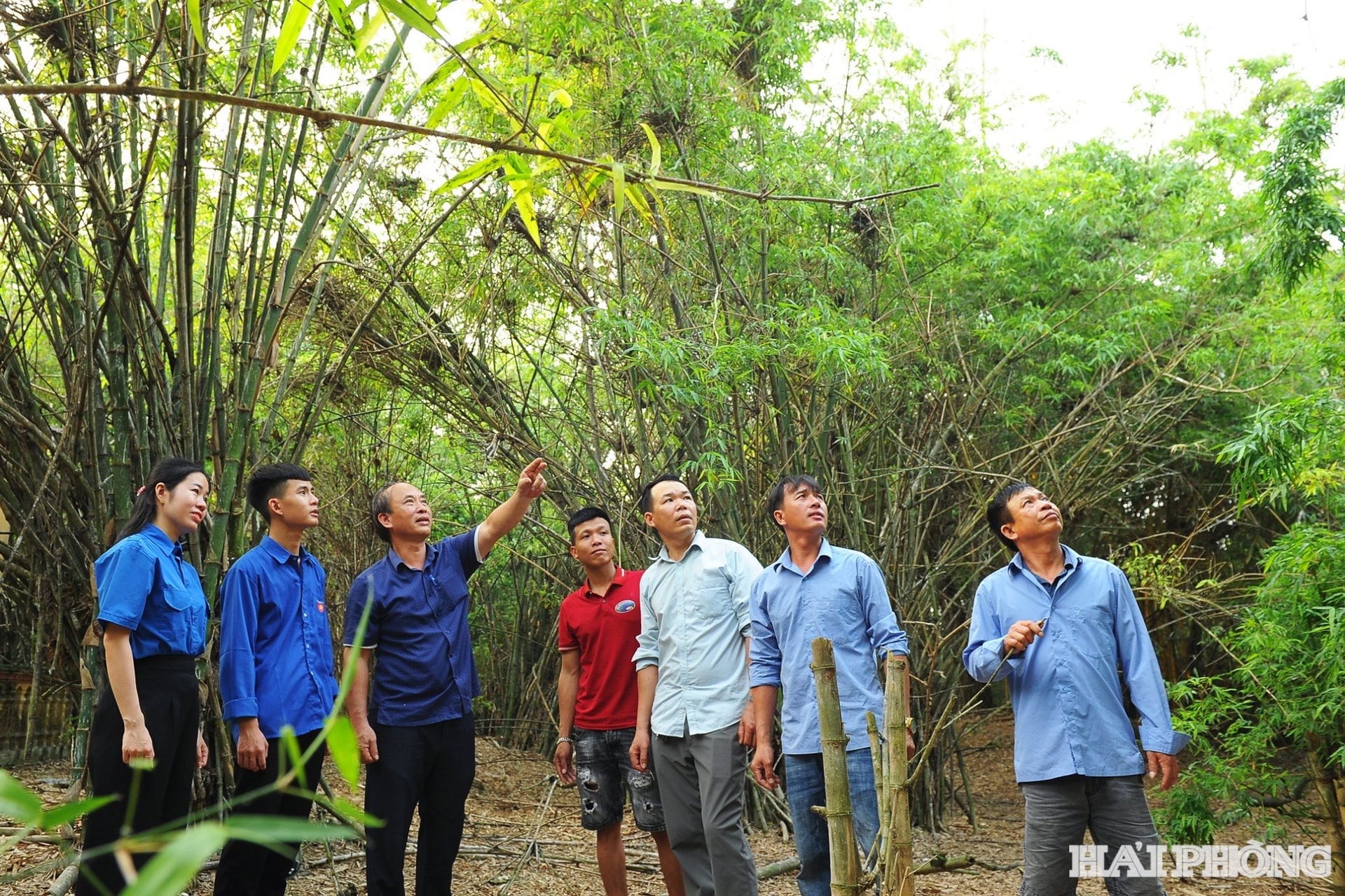 Chính quyền địa phương xã Nam Thanh Miện thường xuyên kiểm tra môi trường sống của cò vạc trên các đảo. ẢNH: THÀNH CHUNG