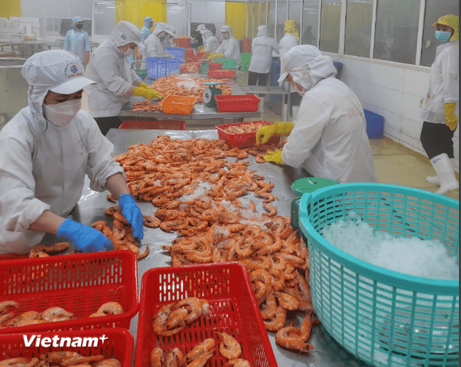Với tốc độ tăng hiện tại, nhiều tổ chức phân tích kỳ vọng mục tiêu tăng trưởng tín dụng 16% cho cả năm 2025 là hoàn toàn khả thi, thậm chí có thể đạt mức 17%-18% nếu các động lực tăng trưởng tiếp tục được duy trì. (Ảnh: Vietnam+) vnp-sx-tom-3.png