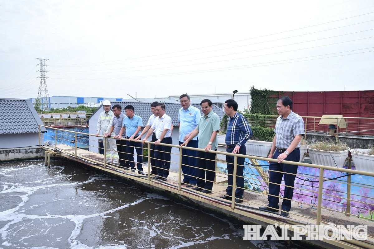 Đoàn công tac của Quốc hội giám sát tại khu công nghiệp Nam Cầu Kiền vào sáng 5/8/2025Ảnh: TRUNG KIÊN