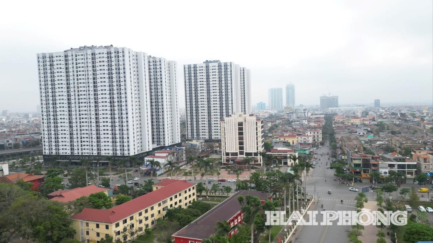 gia-vien-2.jpg