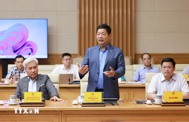 Ông Trương Gia Bình, Chủ tịch Hội đồng quản trị FPT, Trưởng Ban Nghiên cứu phát triển kinh tế tư nhân (Ban IV) phát biểu. (Ảnh: Dương Giang/TTXVN) ttxvn-thu-tuong-lam-viec-voi-ban-nghien-cuu-phat-trien-kinh-te-tu-nhan7.jpg