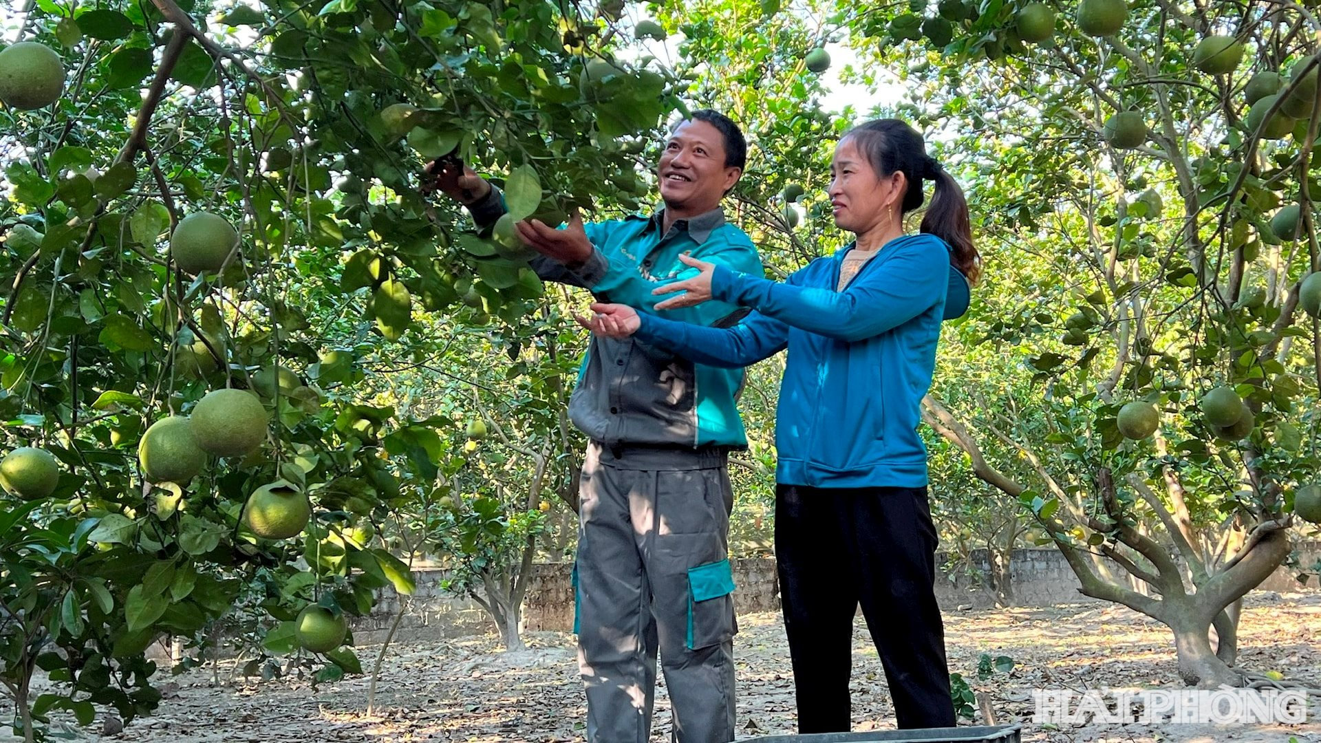 tin-dung-chinh-sach-giup-nong-dan.jpg
