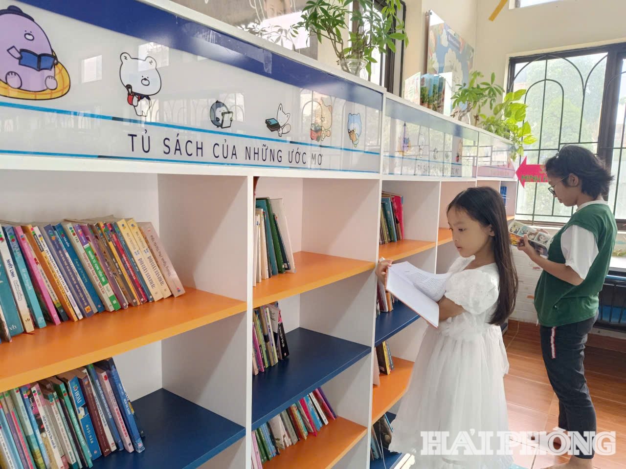 library_5.jpg