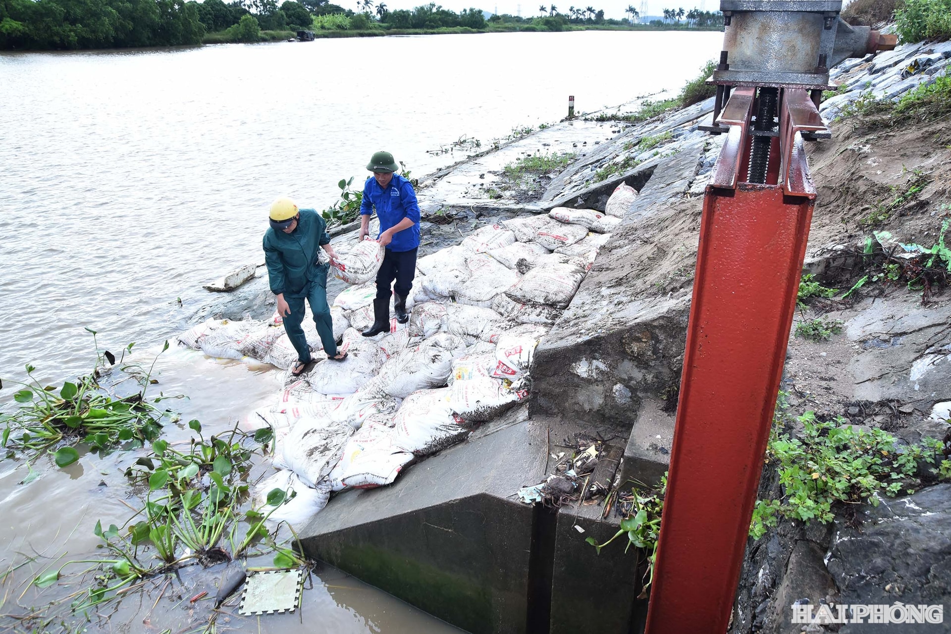 Trung tuần tháng 7/2025, nhiều nơi trên địa bàn thành phố xảy ra mưa to đến rất to, trên diện rộng. Trước tình hình đó, nhiều địa phương khẩn trương tu bổ, khắc phục, gia cố thân đê, cống dưới đê để bảo đảm an toàn. Trong ảnh: Gia cố cống dưới đê đoạn qua xã An Trường.