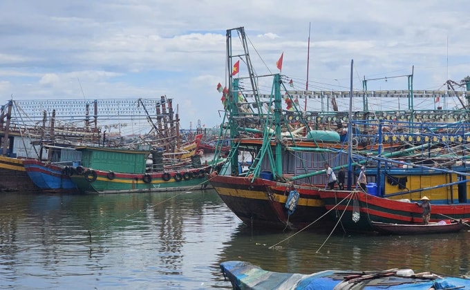 Tàu thuyền vào âu thuyền cửa Gianh trú tránh bão sáng 23/8. Ảnh: Đắc Thành