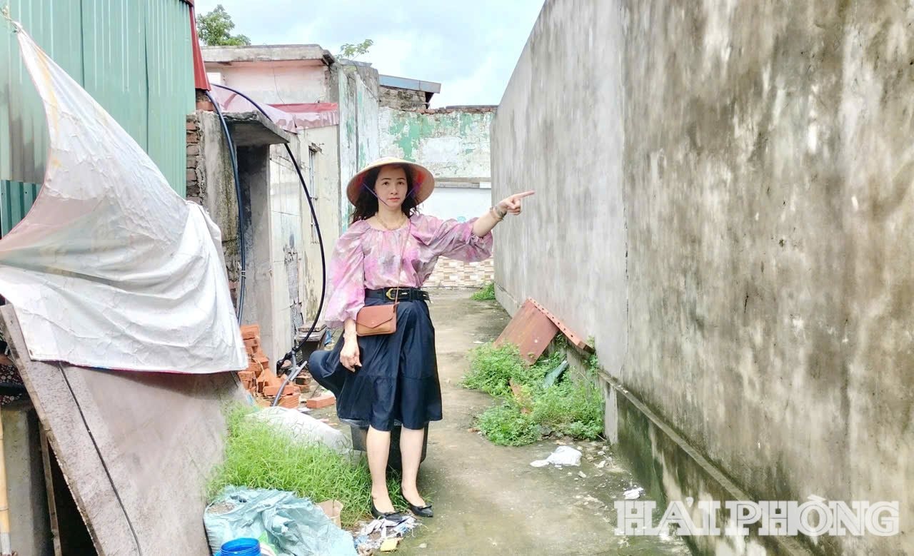 chi-luong1.jpg