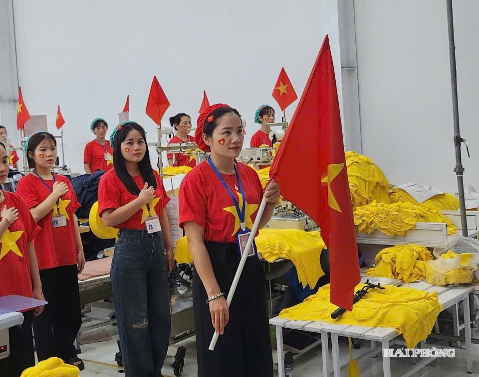 co-do-sao-vang (1)