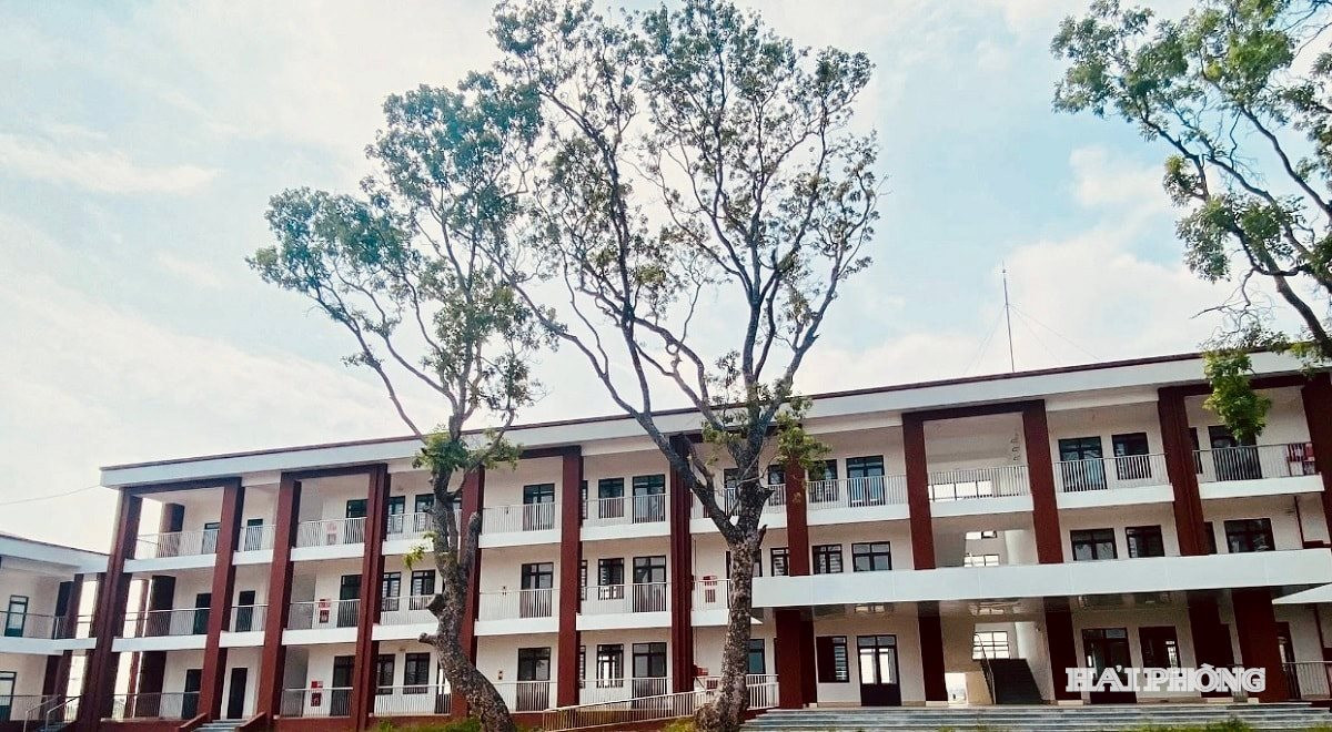 tieu-hoc-tu-ky.jpg