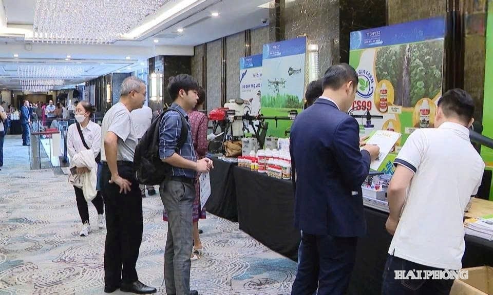 Các đại biểu tham quan gian hàng công nghệ tại Techfest Haiphong 2024.