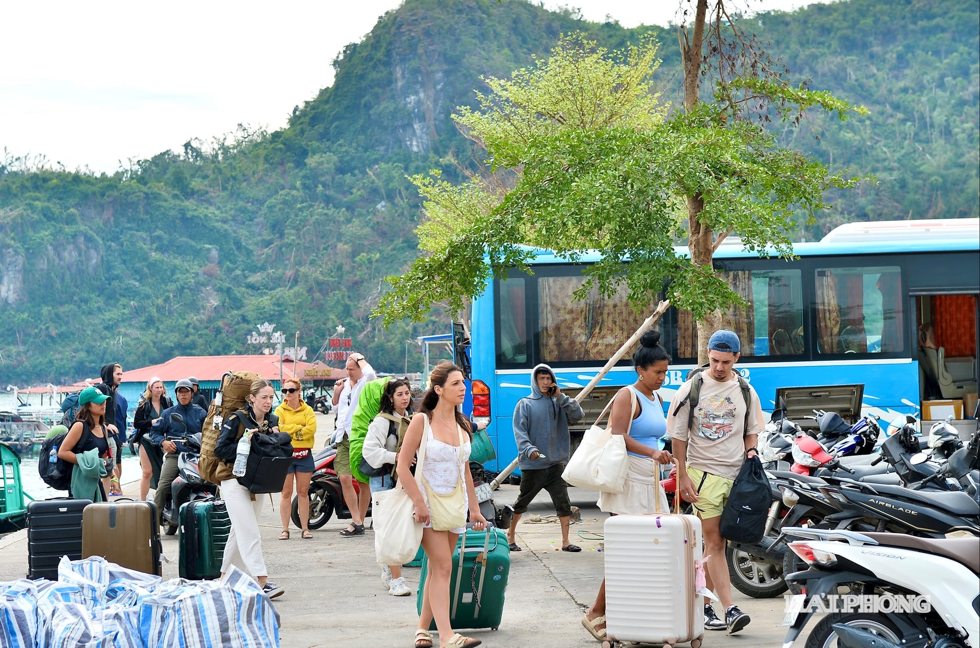 Vào khoảng tháng 8 đến tháng 11 hằng năm là thời điểm du khách nước ngoài đổ về quần đảo Cát Bà, đặc khu Cát Hải. Trong không khí mùa thu với nắng vàng, biển xanh, cát trắng đem đến cảm giác trọn vẹn nhất đối với du khách trong hành trình khám phá, trải nghiệm cuộc sống, khung cảnh của quần đảo Cát Bà.