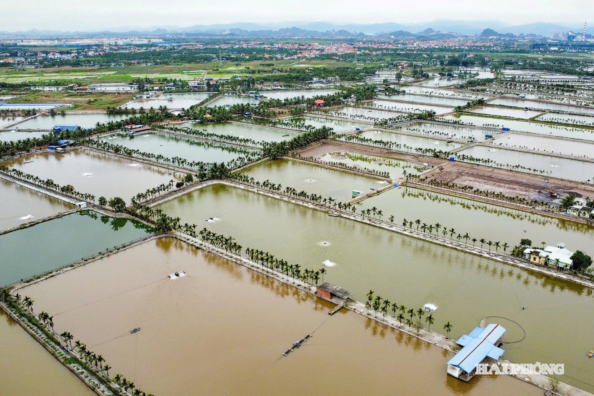Khu vực nuôi thuỷ sản tập trung tại phường Nam Triệu