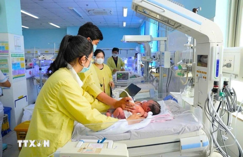 Ảnh minh họa. (Ảnh: Công Mạo/TTXVN)