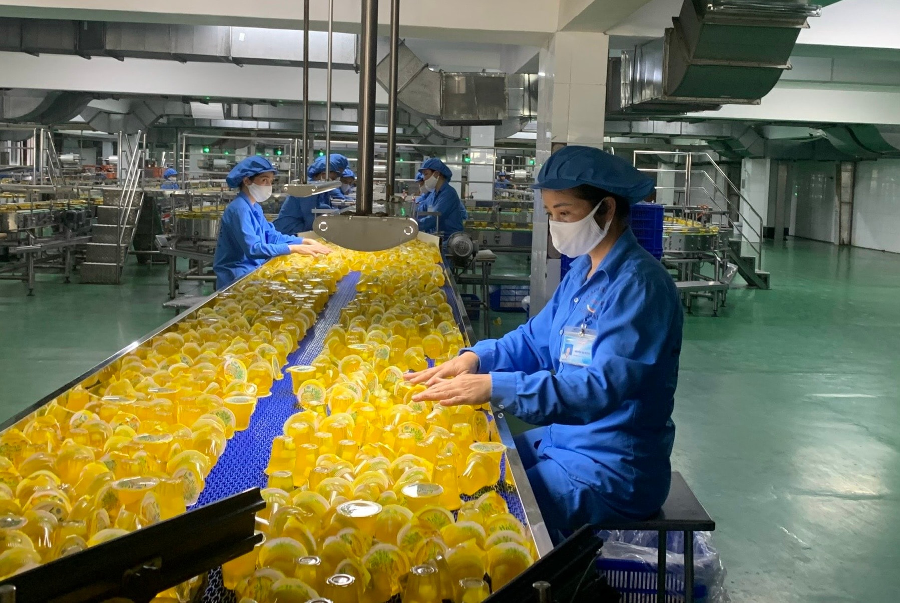 ក្រុមហ៊ុន Long Hai Company Limited តែងតែជាសហគ្រាសដែលមានការរួមចំណែកថវិកាក្នុងស្រុកខ្ពស់នៅក្នុងតំបន់ West Hai Phong។