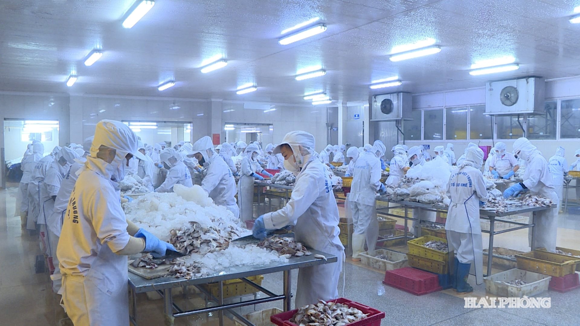 seafood-cooking.jpg