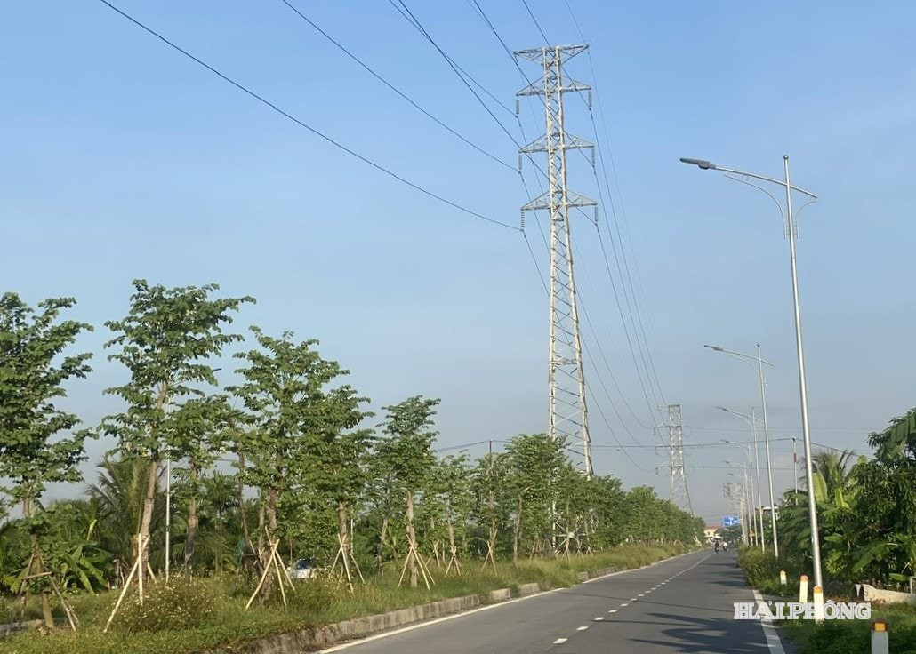 den-duong-phu-thai.jpg