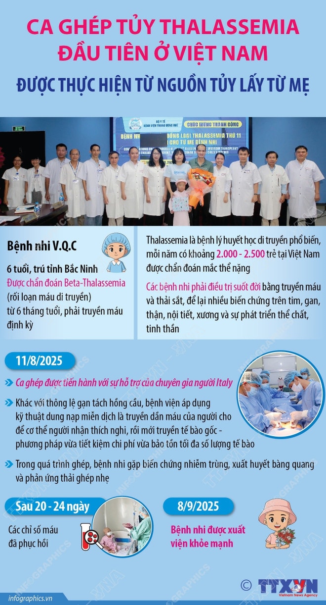 info-ghep-tuy.jpg