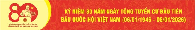 mau-bieu-trung-chinh-thuc-ky-niem-80-nam-ngay-tong-tuyen-cu-dau-tien-bau-quoc-hoi-viet-nam-10-3.jpg
