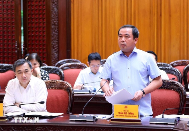 Quyền Bộ trưởng Bộ Nông nghiệp và Môi trường Trần Đức Thắng phát biểu. (Ảnh: Văn Điệp/TTXVN) ttxvn-pho-thu-tuong-tran-hong-ha-hop-thao-go-xu-ly-vuong-mac-cac-du-an-su-dung-dat-1009-3.jpg