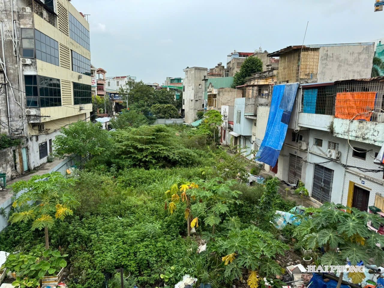 ル・ライ通り47番地(ゴ・クエン区)のフラワーガーデンプロジェクトは、用地取得の問題により着工できていない。写真:BUI LAN