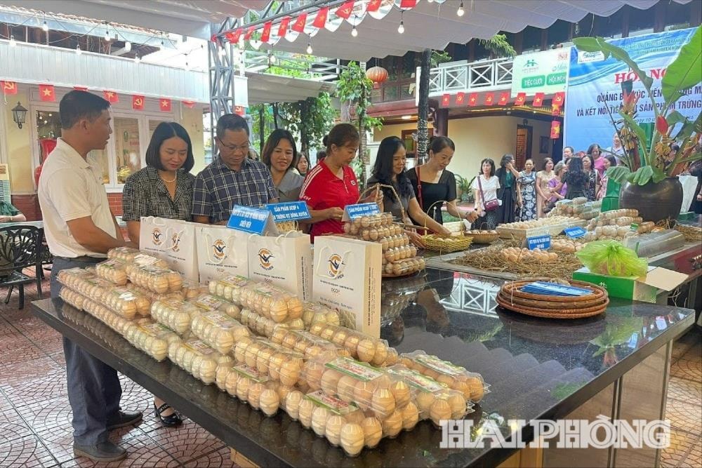 គណៈប្រតិភូបានផ្លាស់ប្តូរ និងចែករំលែកបទពិសោធន៍ក្នុងការផលិត និងប្រើប្រាស់ពងមាន់។