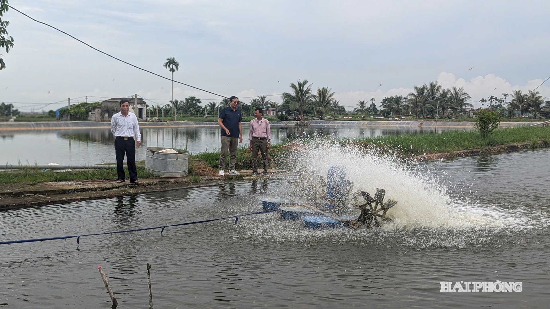 ភូមិផលិតពូជត្រី Hoi Am ឃុំ Vinh Am