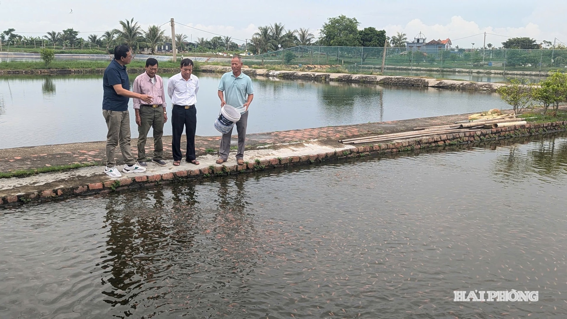គណៈប្រតិភូទៅទស្សនាស្រះចិញ្ចឹមត្រីនៅភូមិចិញ្ចឹមត្រី Hoi Am ឃុំ Vinh Am