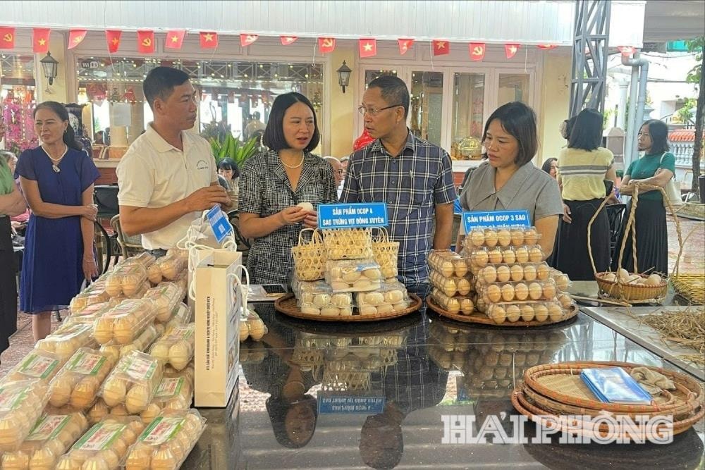 គណៈប្រតិភូបានផ្លាស់ប្តូរ និងចែករំលែកបទពិសោធន៍ក្នុងការផលិត និងប្រើប្រាស់ពងមាន់។