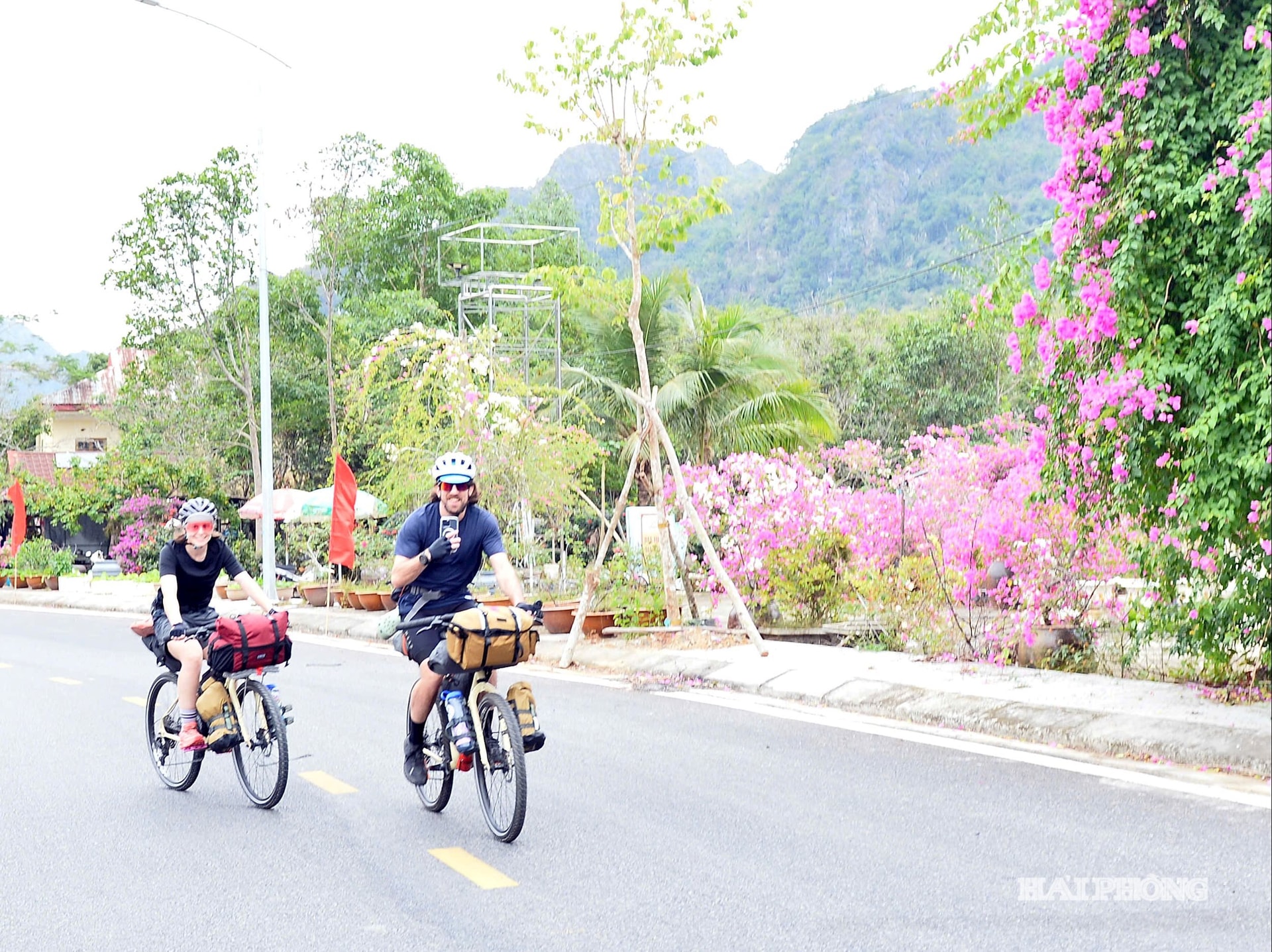 bao-ve-moi-truong-cat-ba.jpg