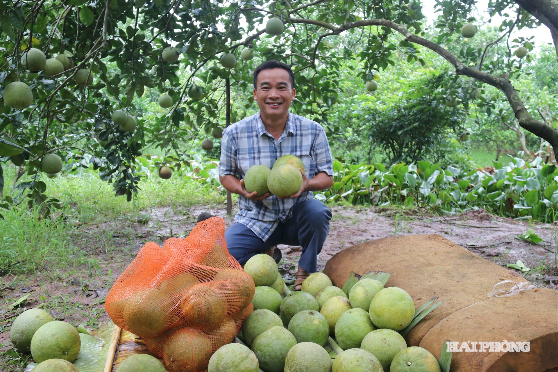 កាំបិត (1)