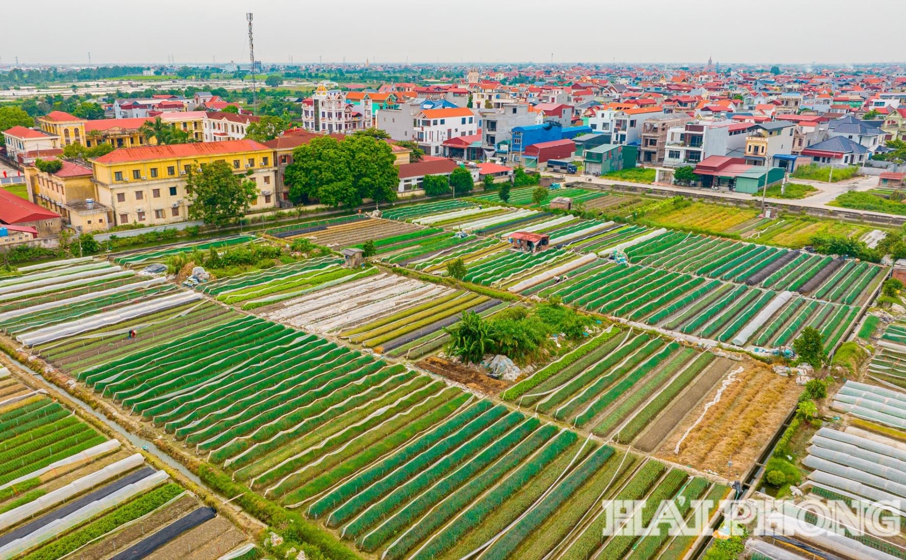 חקר-חיים (1).jpg