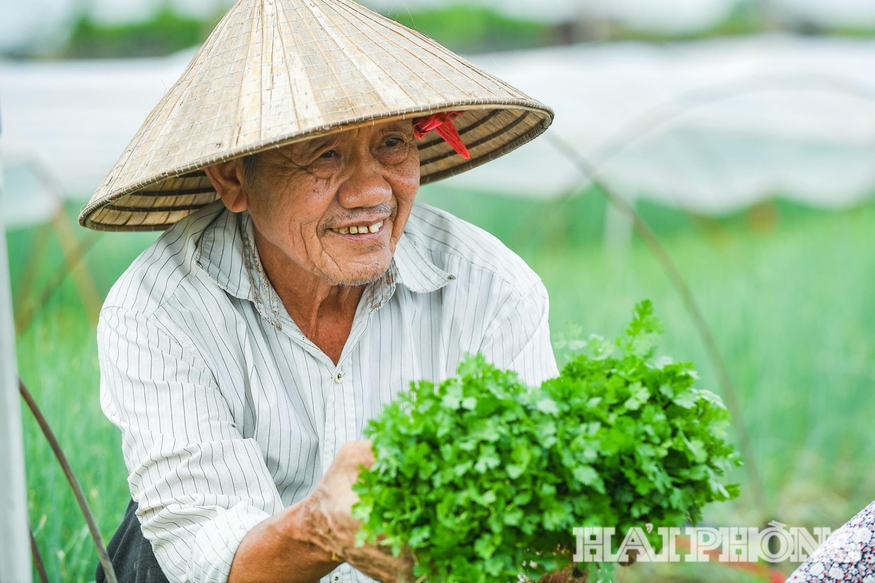 פועל צעיר (1).jpg