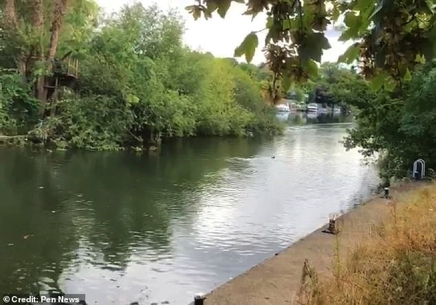 song-thames.jpeg