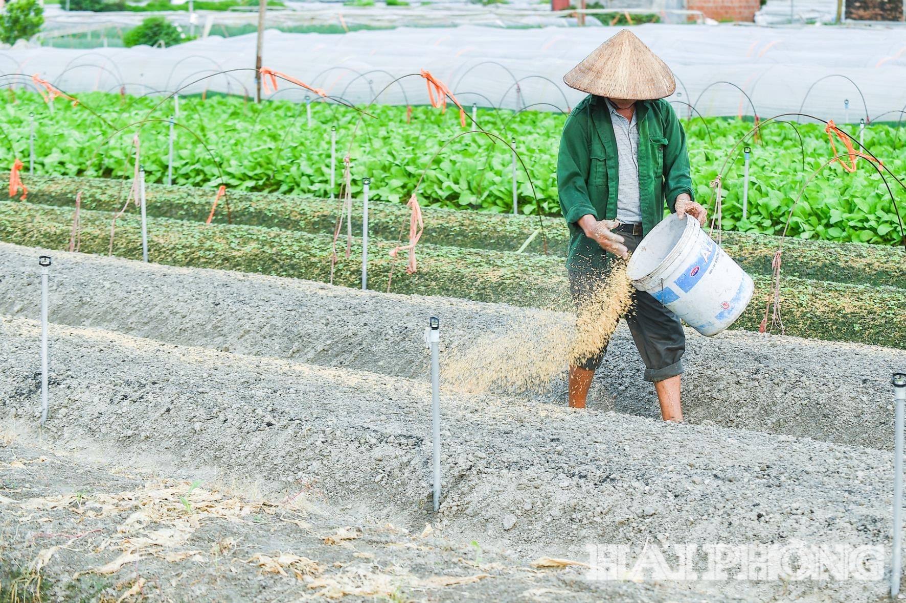 חיתוך בין-חלקי (1).jpg