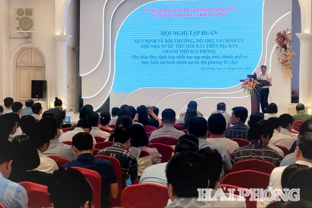 Các đại biểu tham dự hội nghị tập huấn