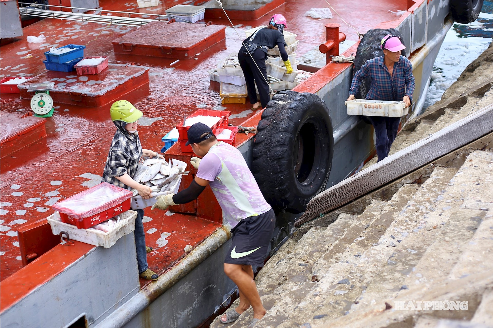 Khi tàu cá cập bến, ngư dân lại tất bật mua bán hải sản tươi, đây là sinh kế quan trọng giúp phát triển kinh tế hộ gia đình trên đảo.
