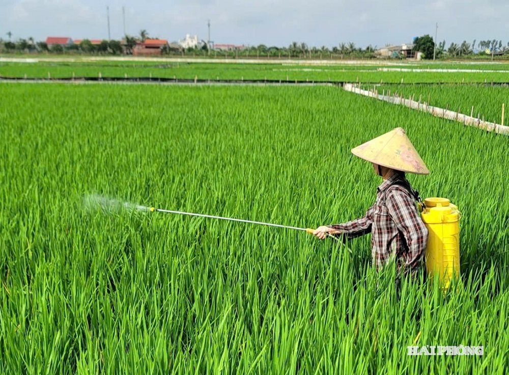 បាញ់បន្ទាប់ពី 1