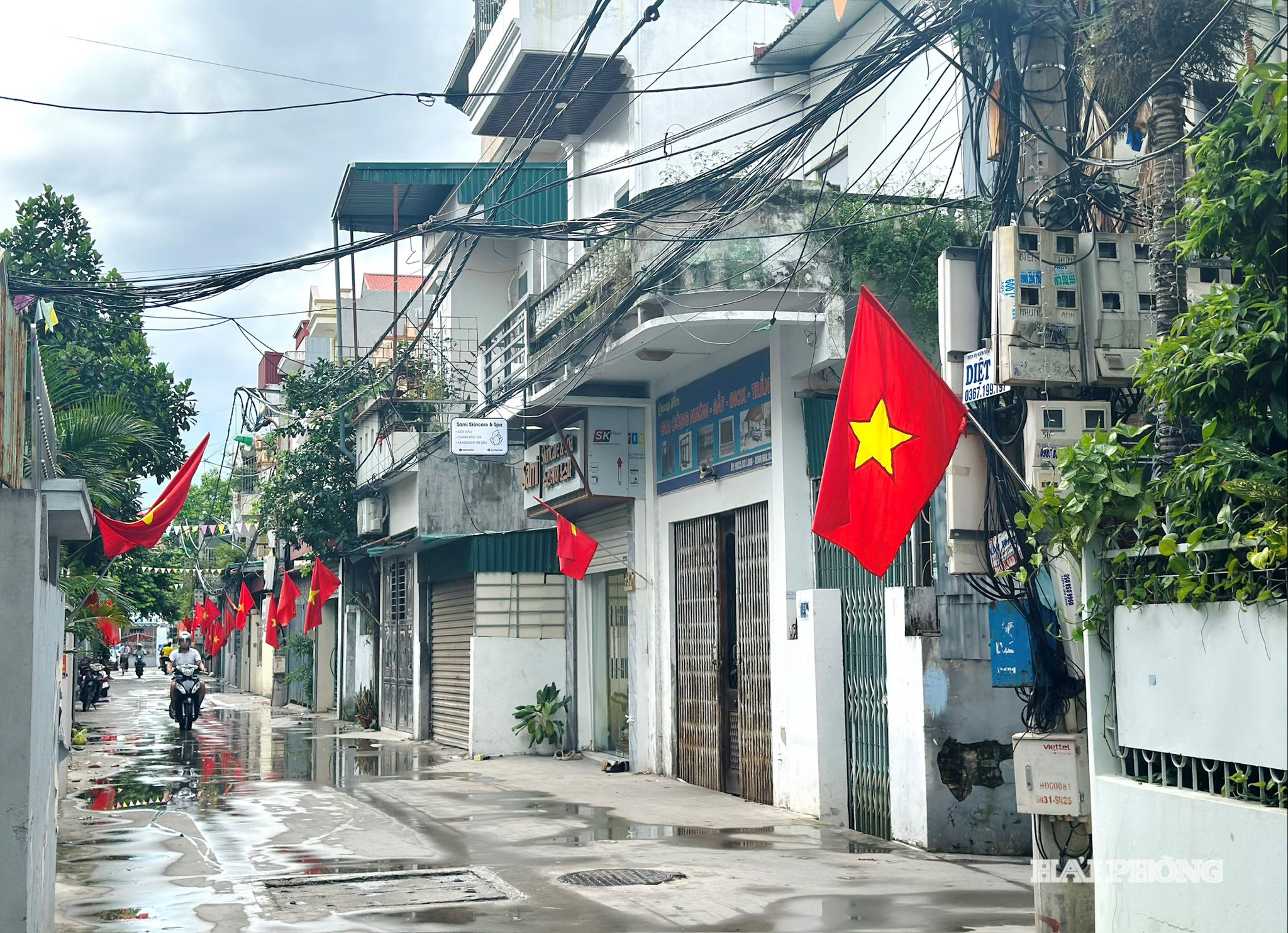 to-dan-pho.jpg