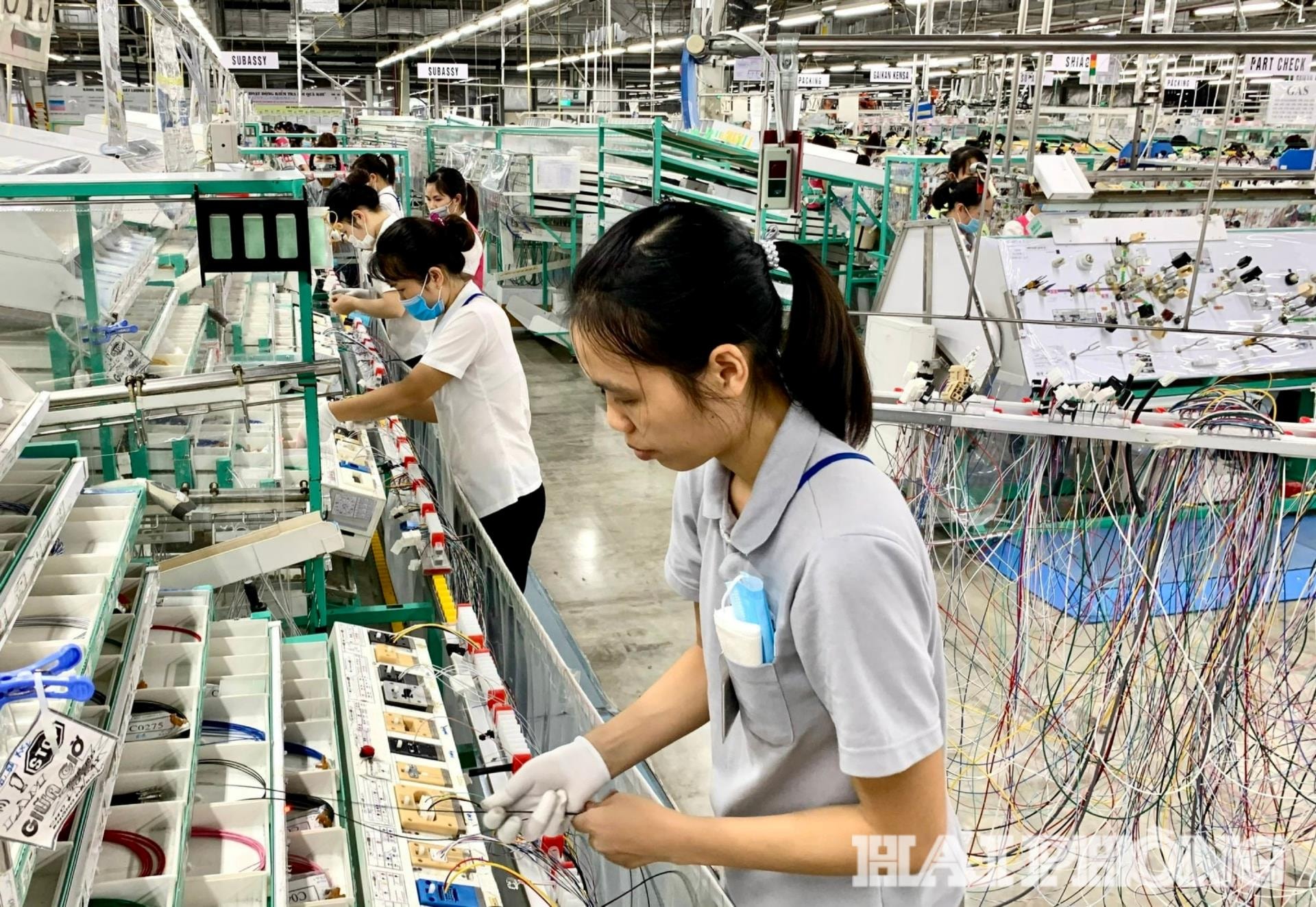 ក្រុមហ៊ុន Yazaki(1).jpg