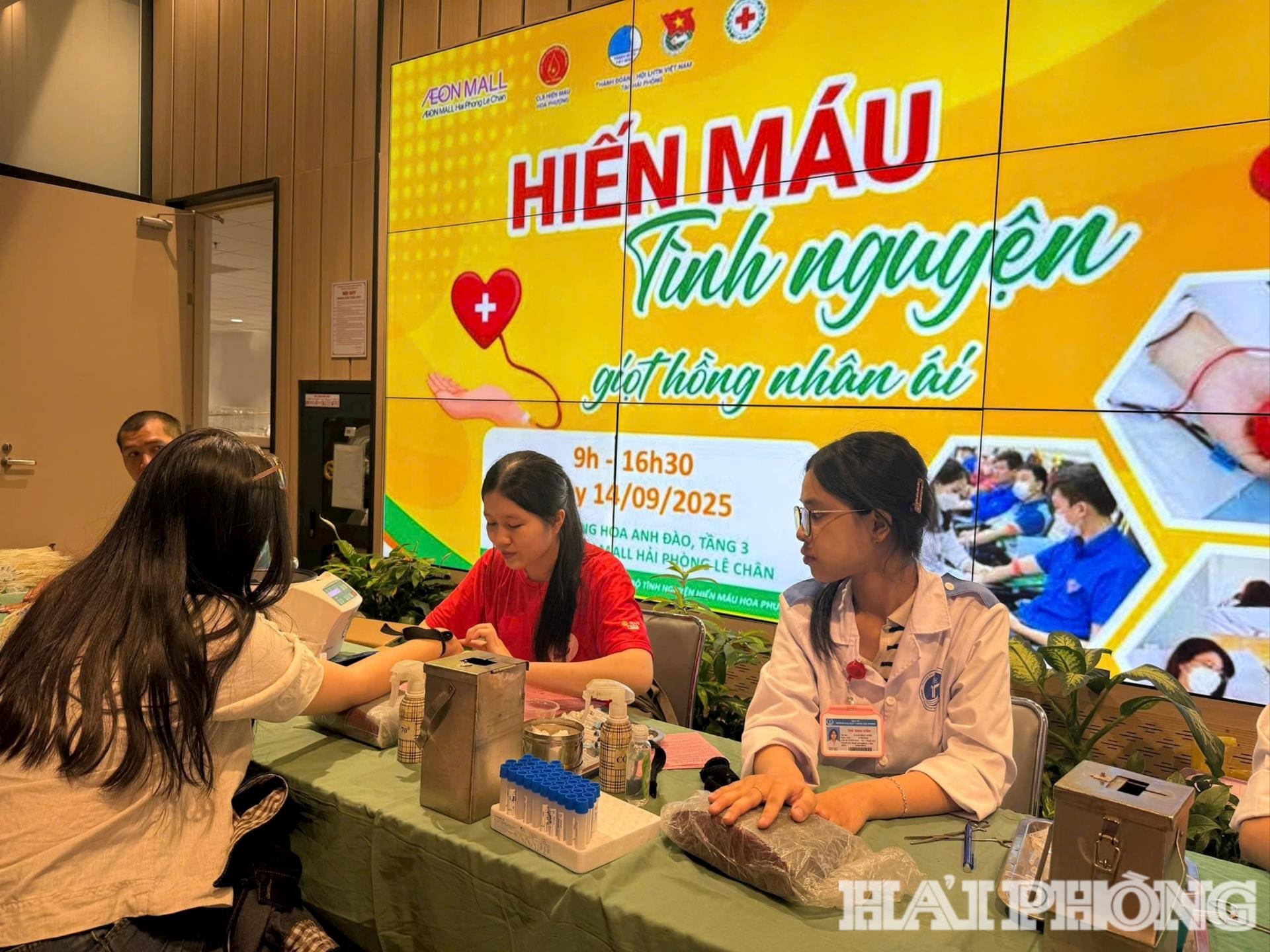 Koninklijke poinciana club-1(1).jpg