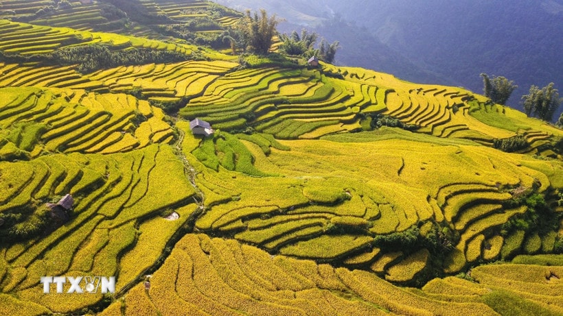Thung lũng ruộng bậc thang ở Y Tý. (Ảnh: Thành Đạt/TTXVN)