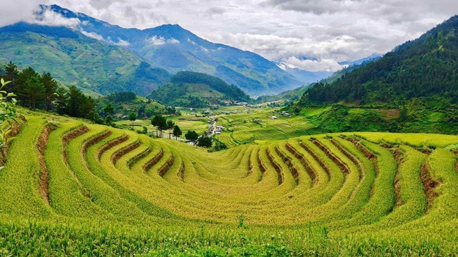 ruong-bac-thang-hanh-phuc.jpg
