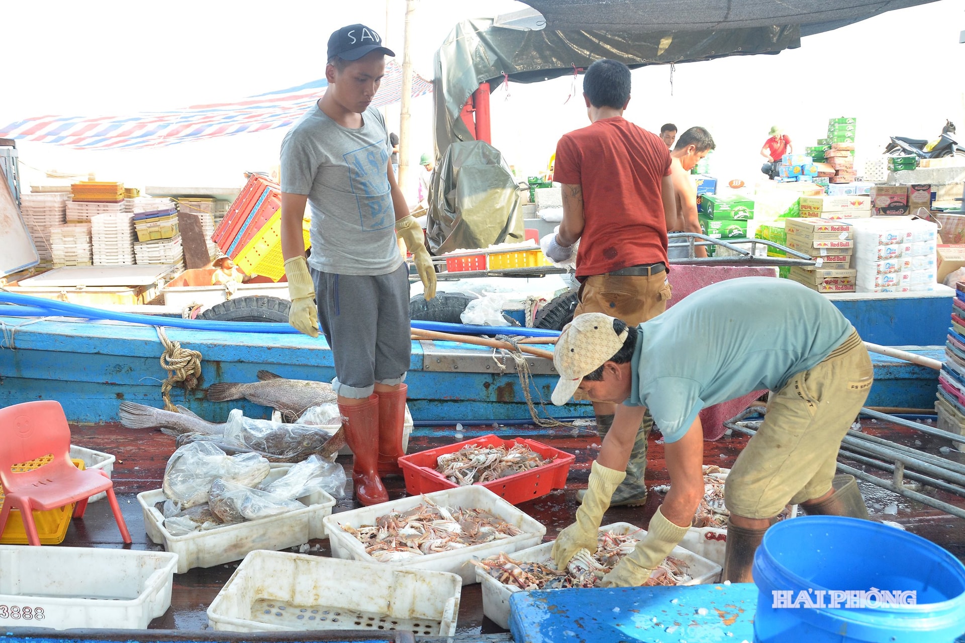 Phần lớn ngư dân ở các tỉnh miền Trung trao đổi hàng hoá với các thương lái ngay khi vào âu cảng.