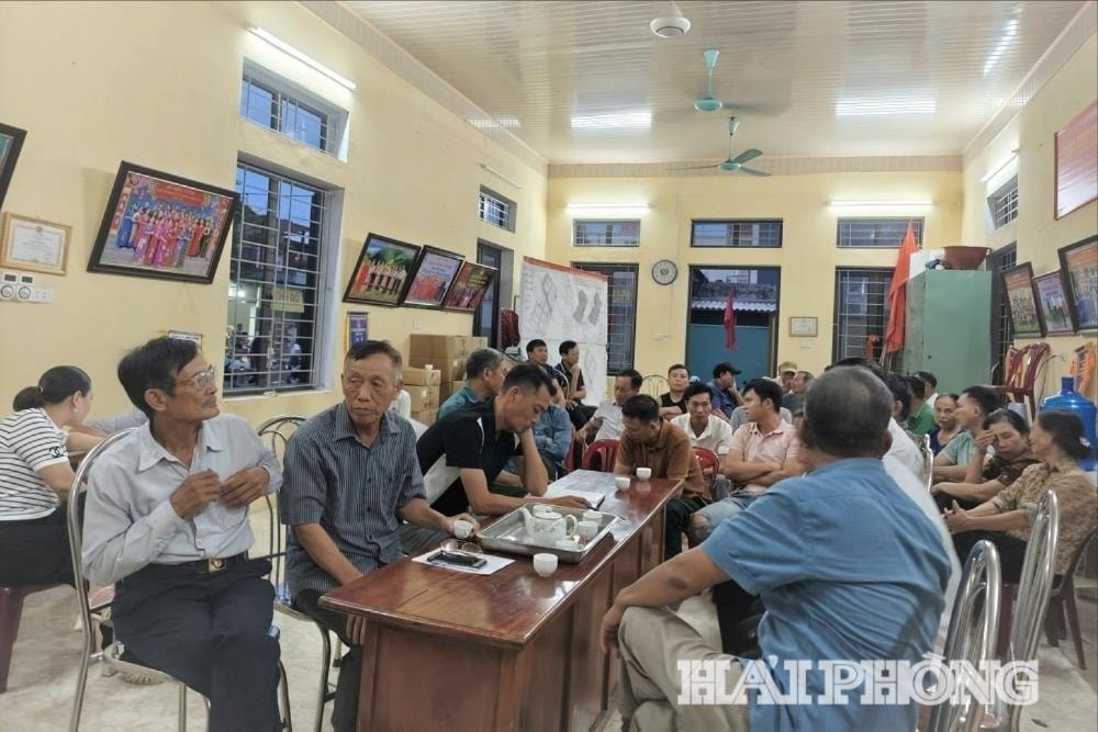 dat-dai.jpg