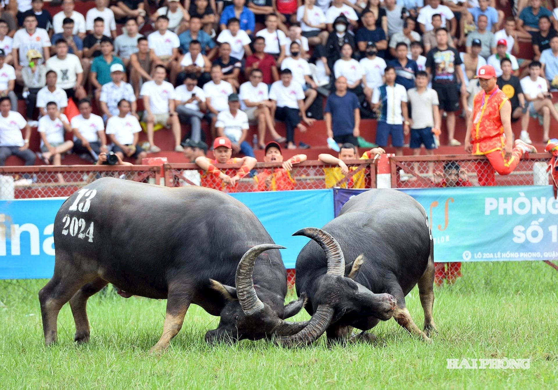 thuong-hieu-du-lich1.jpg