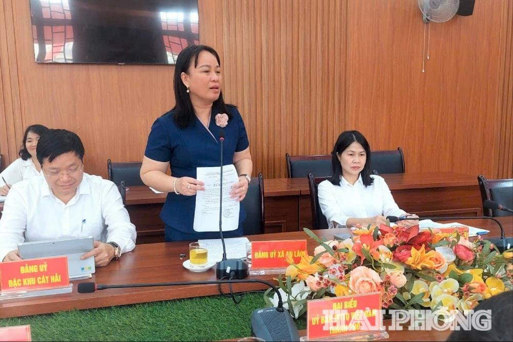 Đại diện lãnh đạo An Lão phát biểu ý kiến tại hội thảo