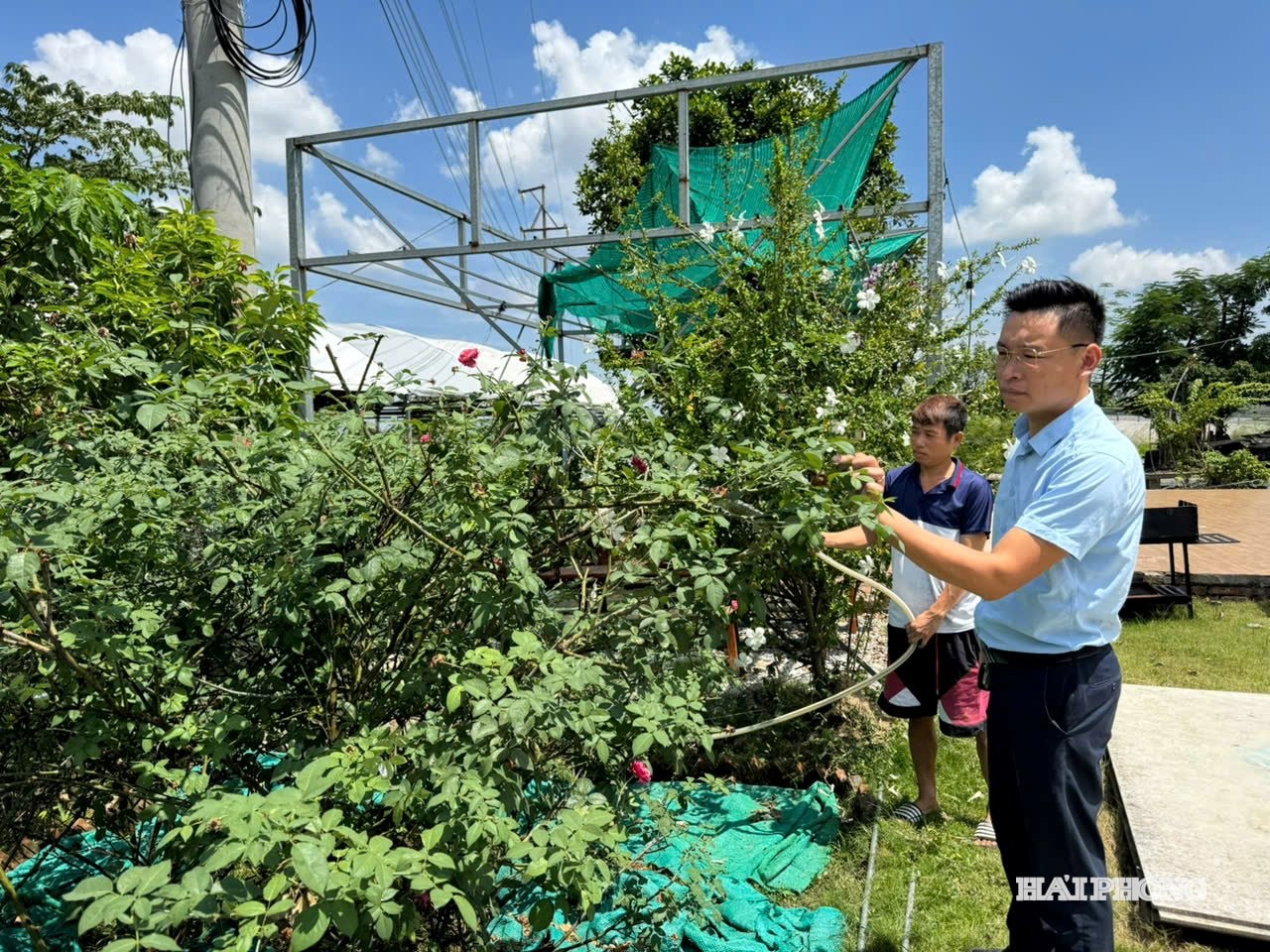 Anh Phạm Văn Quyên kiểm tra chăm sóc hoa cây ảnh tại nông trại AnFarm