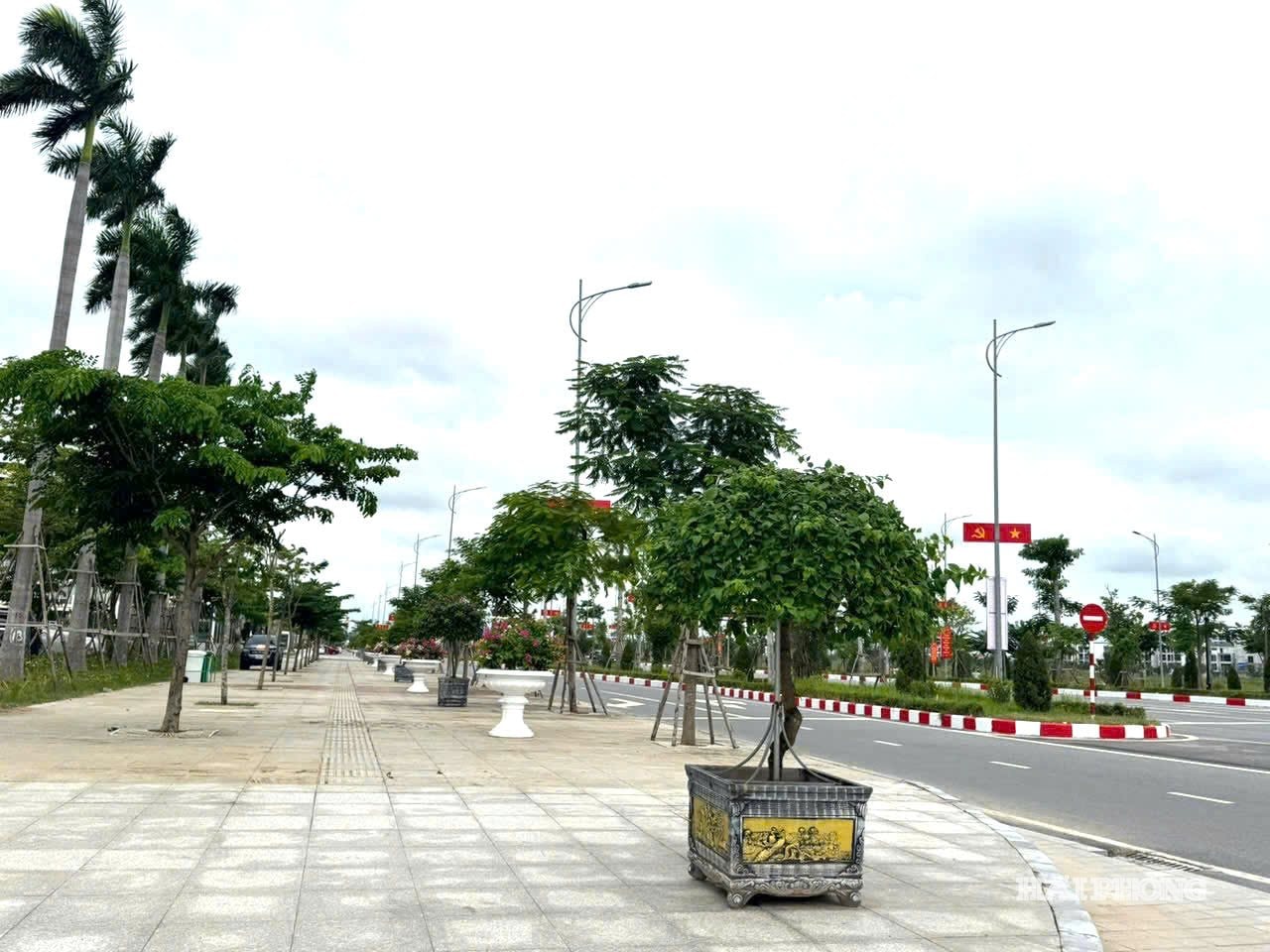 ផើងផ្កាត្រូវបានជ្រើសរើស និងថែទាំយ៉ាងយកចិត្តទុកដាក់។